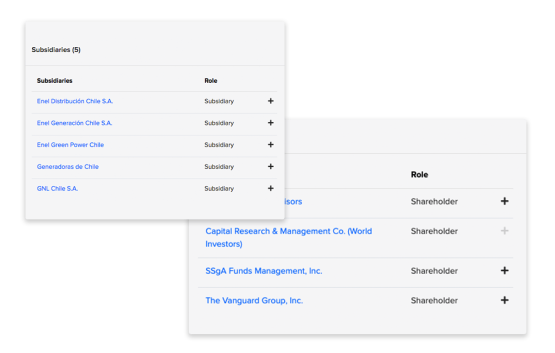 Corporate structure with key subsidiaries and shareholders.