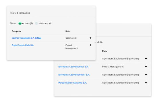 Companies where the contact plays a key role.