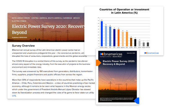 Annual survey results displayed on the BNamericas platform.